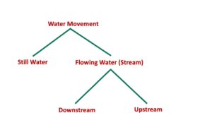 Boat and Stream in Bengali, Boat and Stream questions tricks