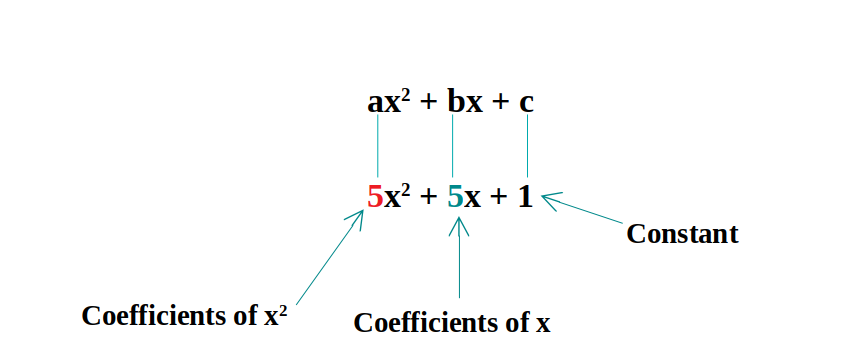 C Program For Quadratic Equation | Programmerbay